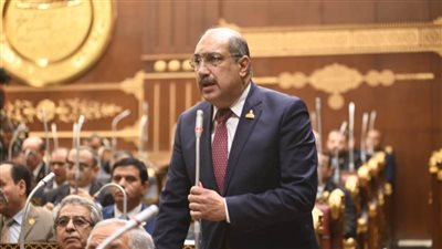 رئيس برلمانية 