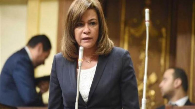 النائبة سحر طلعت