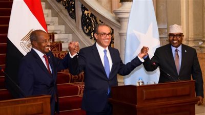 وزير الخارجية: مصر وإرتيريا والصومال لن تقبل أي تواجد بمنطقة البحر الأحمر لغير الدول المشاطئة