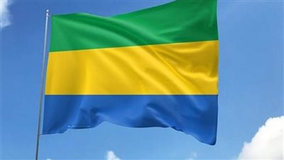 الجابون: قانون الانتخابات الجديد يحدد ميزانية الحملة الانتخابية لمرشحي مجلس الشيوخ 