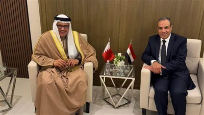 مصر تدعو إلى عملية سياسية تضم القوى الوطنية السورية دون إقصاء 