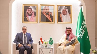 لقاء ثنائي بين وزير الخارجية  ونظيره السعودي على هامش الاجتماعات في الرياض 