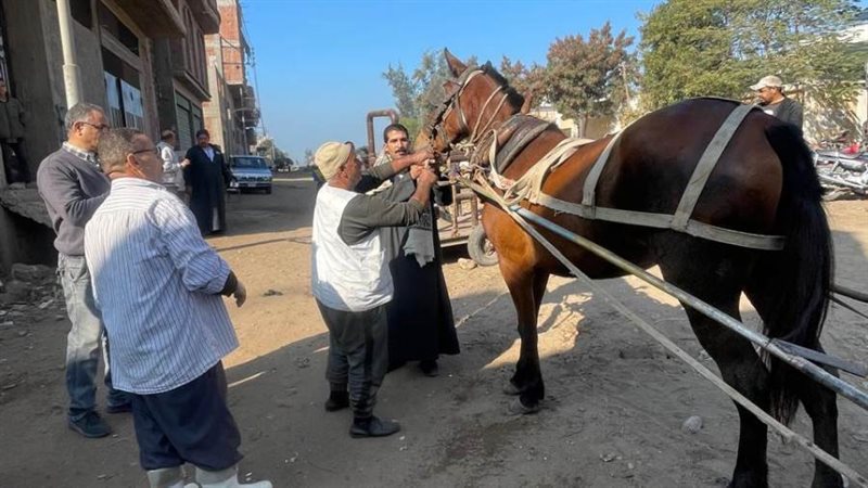 جانب من فعاليات القافلة