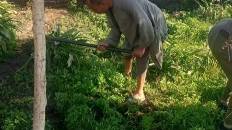 المبادرة الرئاسية