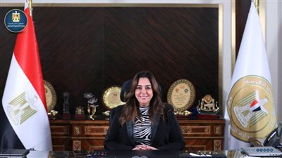 «التنمية المحلية» تتابع جهود تشجير الطريق الدائري بمحافظات القاهرة الكبرى