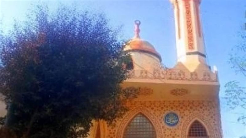 بوابة روز اليوسف