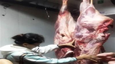   محافظ أسوان.. إزالة 10 حالات تعد وضبط 219 كليو لحوم غير صالحة للاستهلاك الآدمي 