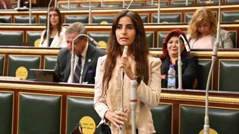 النائبة إيلاريا حارص