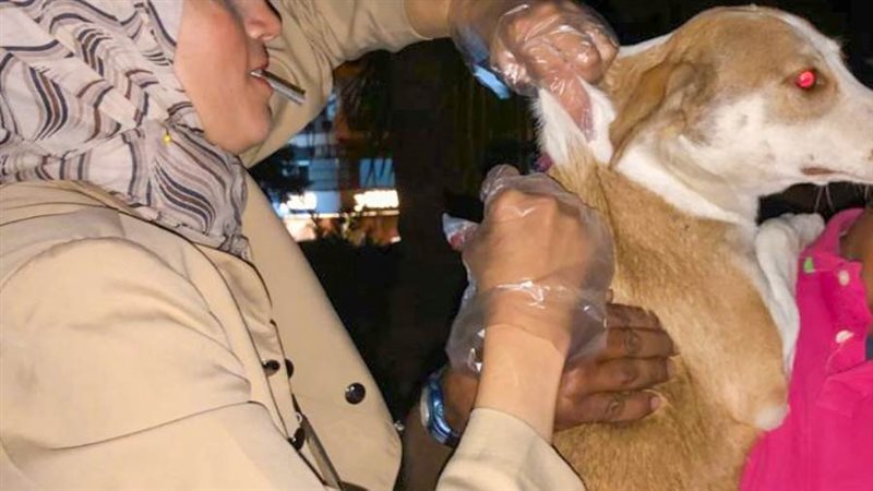 استجابة لشكاوى المواطنين