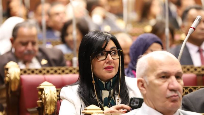 ريهام عفيفي عضو مجلس