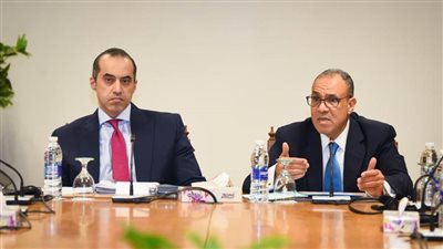 وزير الخارجية يلتقي سفراء دول الاتحاد الأوروبي في مصر