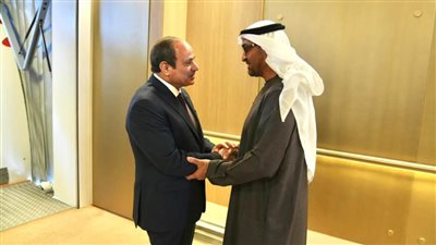 عاجل| السيسي ورئيس الإمارات يؤكدان حرصهما على تنفيذ اتفاق وقف إطلاق النار بغزة بشكل يحقن دماء الشعب الفلسطيني