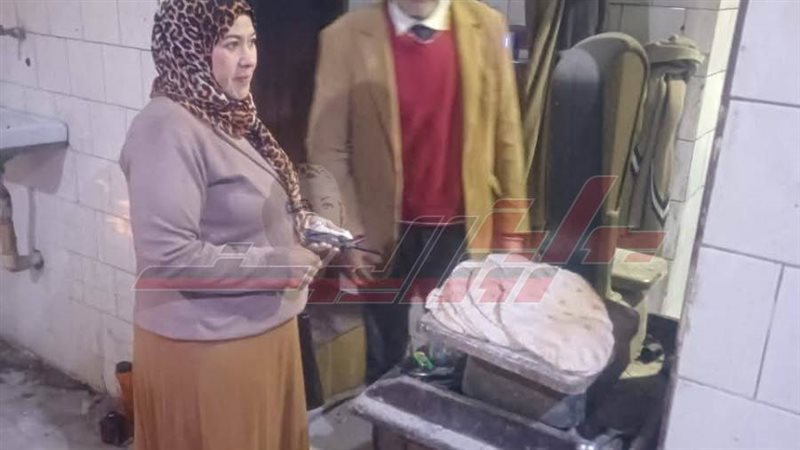 الحملات الرقابية