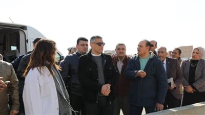 محافظ الجيزة يتفقد أعمال تشجير 