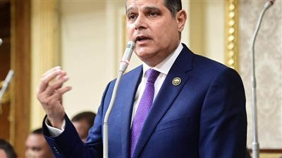 برلماني: بدء سريان وقف إطلاق النار في غزة انتصار سياسي لمصر