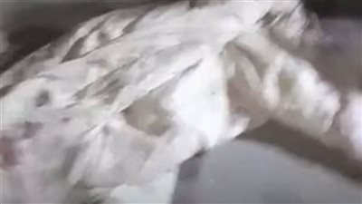 بطعنات نافذة.. مقتل سيدة على يد زوجها ببورسعيد