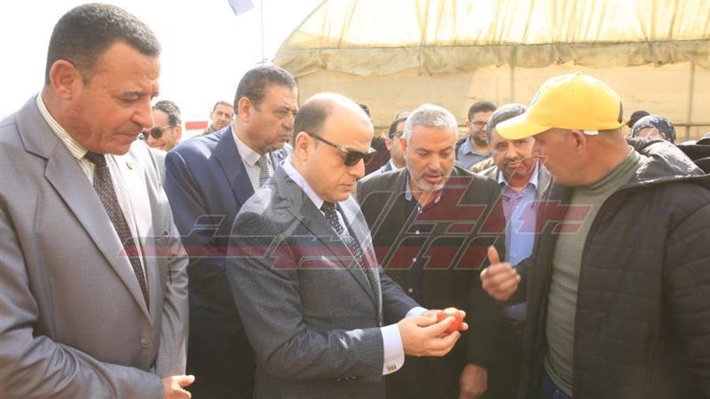 محافظ كفر الشيخ