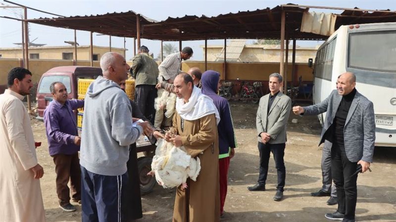 مشروعاات الدواجن