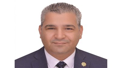 عياد رزق: مصر حريصة على إعادة إعمار غزة وإنهاء معاناة الفلسطينيين