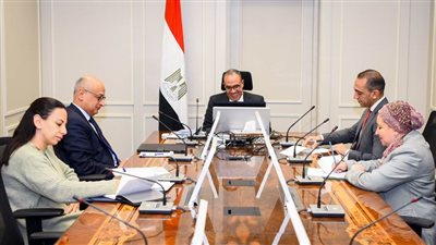 وزير الخارجية يستعرض مع مع نواب أوروبيين التحدبات الخطيرة لأزمات المنطقة