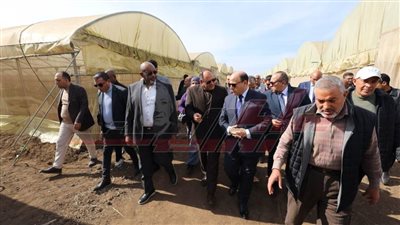 محافظ كفر الشيخ ووزير الزراعة النيجيري يتفقدان البرنامج الوطني لإنتاج تقاوي الخضر 