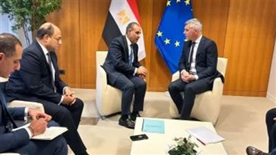 وزير الخارجية يلتقى مع نواب البرلمان الأوروبى مقررى المجموعات السياسية المختلفة