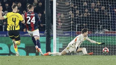 بولونيا يضرب أسود 