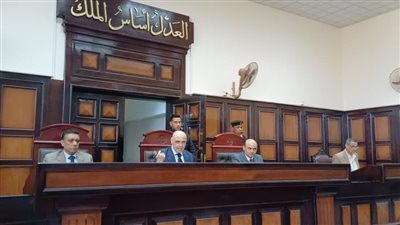  وضع المطواة على رقبته.. السجن المشدد 10 سنوات لعامل سرق تليفون سائق توك توك بأسيوط