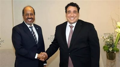 الرئيس الصومالي ورئيس المجلس الرئاسي الليبي يبحثان علاقات التعاون