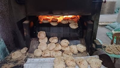 ضبط 238 مخالفة خلال حملات تفتيشية تموينية مكبرة على الأسواق والمخابز بالمنيا 