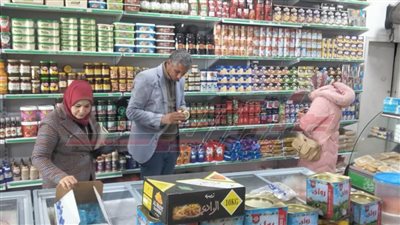 ضبط 50 شيكارة جيلاتين و10 أطنان ملح دون بيانات بكفر الشيخ