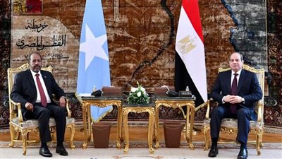 قيادات حزبية: زيارة الرئيس الصومالي تؤكد ريادة مصر في دعم إفريقيا