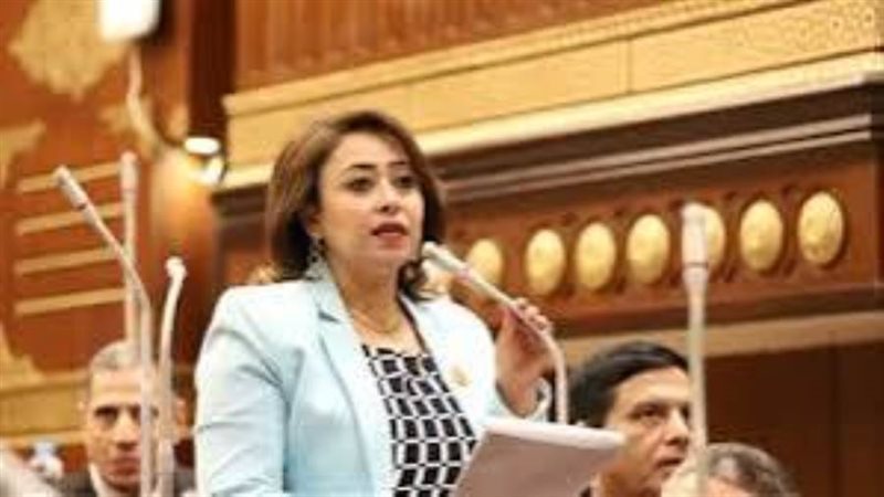 النائبة رشا إسحق