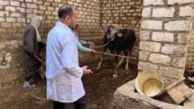 إطلاق الحملة القومية للتحصين ضد مرضى الجلد العقدي وجدري الأغنام بالإسماعيلية