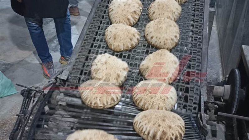 الحملات الرقابية