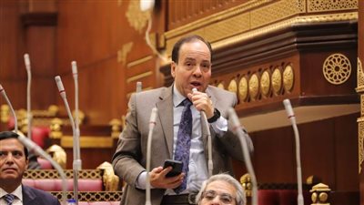 حماة الوطن: مصر ترفض تصفية القضية الفلسطينية وتتصدى لمحاولات تهديد الأمن القومي