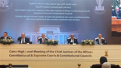 رئيس المحكمة الدستورية: الرقابة الدستورية على هذه التشريعات تحقق التوازن لحماية الأفراد