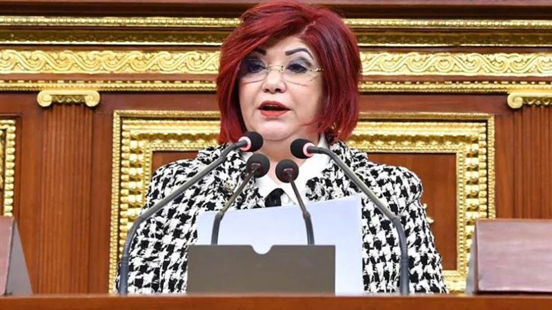 النائبة نورا علي