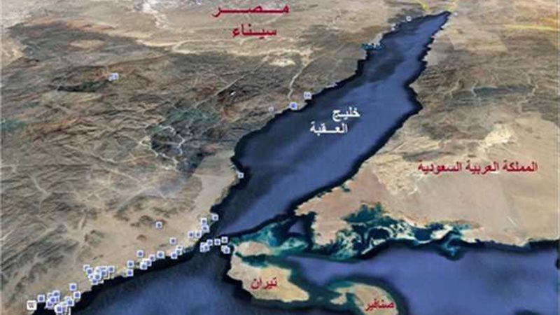 قضايا الدولة تقدم