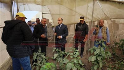 ندوات إرشادية ومدارس حقلية لتوعية المزارعين بكفر الشيخ