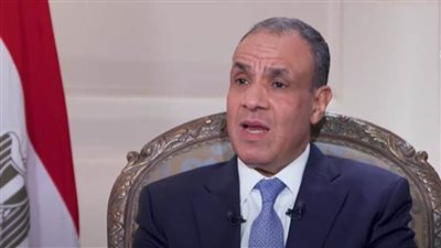 وزير الخارجية: مصر حققت طفرة في حقوق الإنسان تحت قيادة الرئيس السيسي