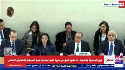 عاجل.. بث مباشر.. مصر تستعرض تقريرها الوطني خلال آلية المراجعة الدورية الشاملة لمجلس حقوق الإنسان الدولي