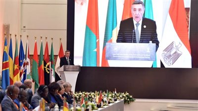 الرقابة الدستورية على التشريعات المنظمة للظروف الاستثنائية