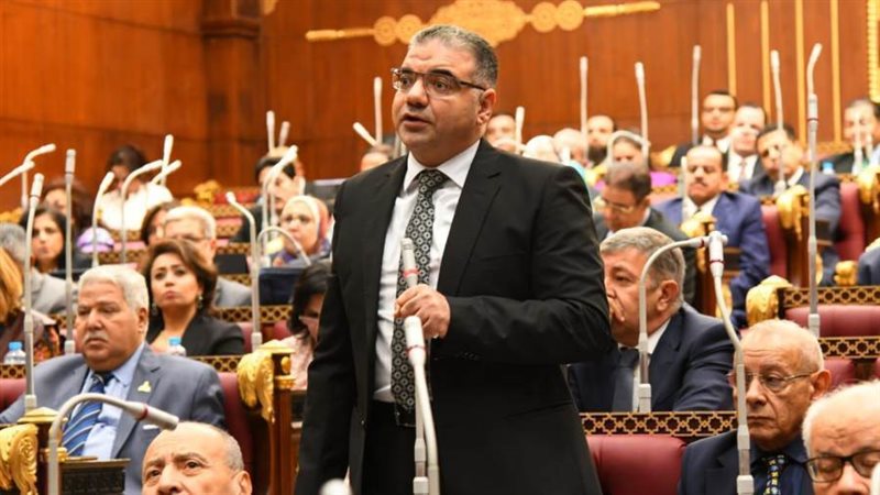 النائب سيد حجازى