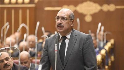 النائب إيهاب وهبة: مصر ستظل داعمة للشعب الفلسطيني ولن تقبل تهجير الفلسطينيين