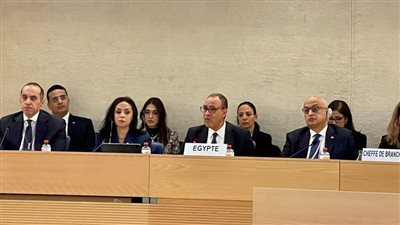 وزير الخارجية يترأس الوفد المصري في جلسة الاستعراض الدوري لحقوق الإنسان في مصر