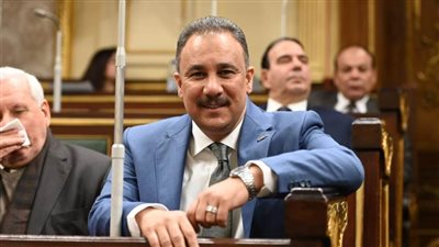 برلماني: الرئيس السيسي كشف مخطط ترامب بشأن غزة أمام العالم