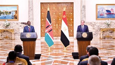 الرئيس السيسى: لا حياد أو تنازل عن ثوابت القضية الفلسطينية ولن نقبل المساس بالأمن القومى