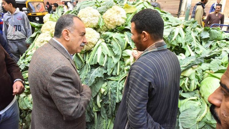 محافظ أسيوط يتفقد