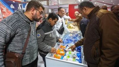 محافظ الدقهلية: توفير 